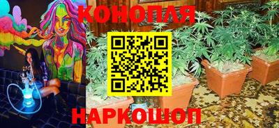 каннабис Кимры